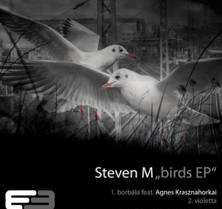 Steven M - Birds EP (2010) 