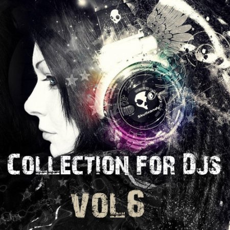 VA-Collection for Dj's vol.6 (2010) 